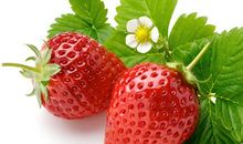 我爱吃草莓