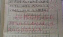 特别的半命题作文