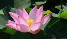 怀念家乡的日子