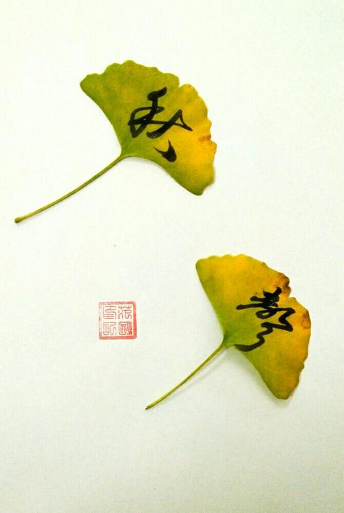 落叶的感觉