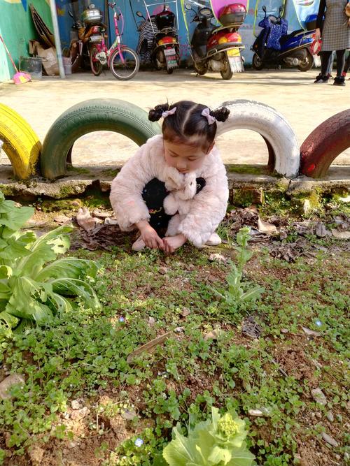 春风吹进小河