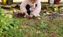 春风吹进了小河