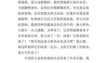 如果动物有了灵魂作文