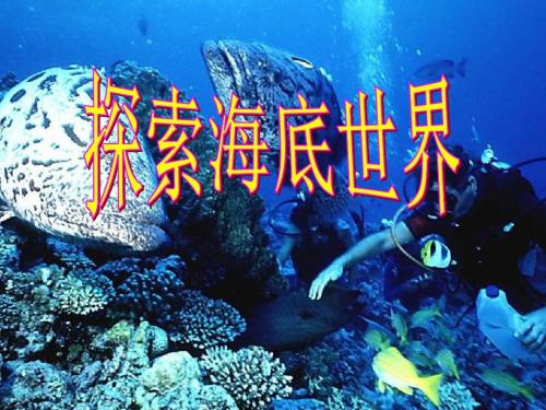 探索海底世界