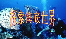 探索海底世界