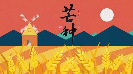 那些让我收获的程序