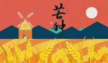 那些让我收获的节目