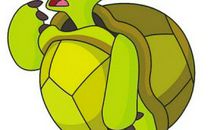 我和小乌龟“骑士”