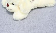 我心爱的毛绒小狗