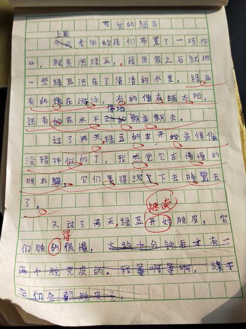 小绿豆变态日记