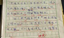 小绿豆变形记日记