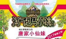 《唐家小仙妹》读后感