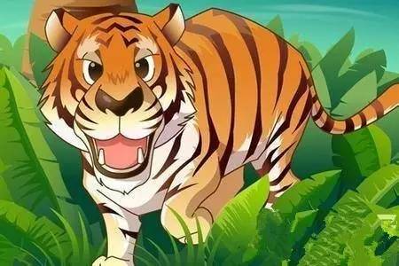 农夫与老虎