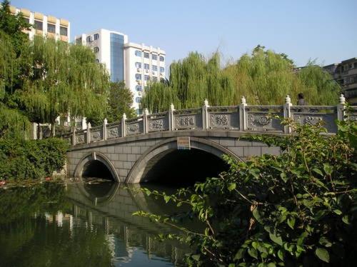 参观同济大桥