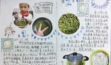 小豆芽成长记
