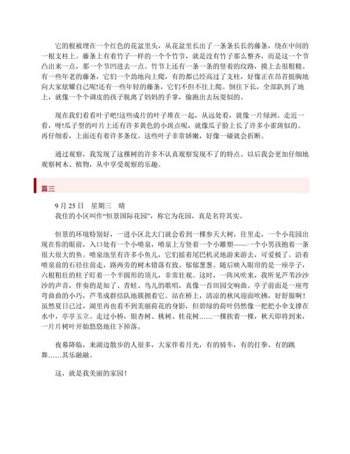 观察日记400字