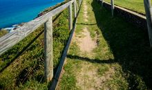 青春是一场阳光为伴的旅程