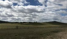 难忘的草原之旅