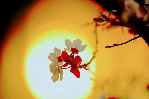 温暖无处不在