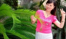 为阳光打开心扉