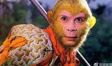 善良的精灵——冬