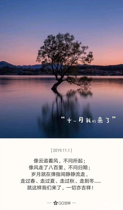 那个冬天不太冷