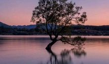 那个冬天不太冷