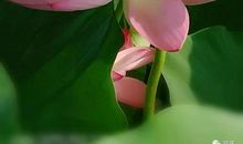 懂得不仅仅是懂得