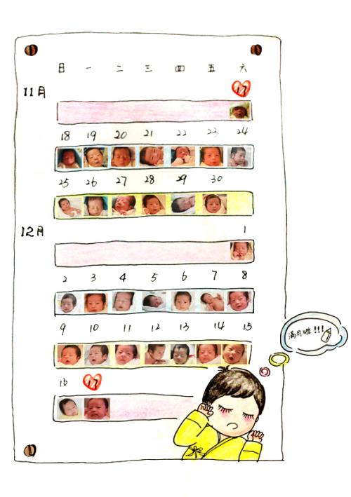 小豆的生长
