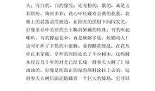 这儿真美作文300字