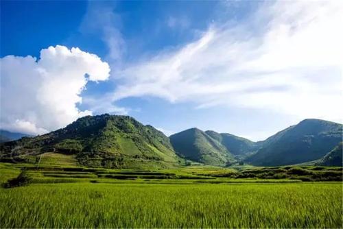 只因为风景陶醉