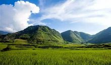 沉醉只因那风光