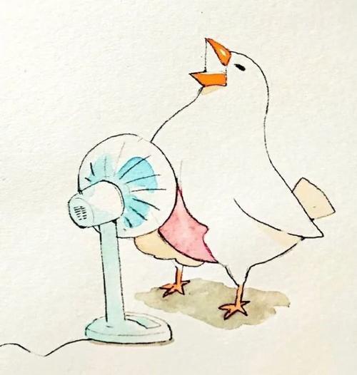 我可爱的小白鸽