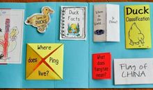 阅读需要探索精神