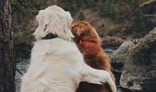 这个春节有点怪