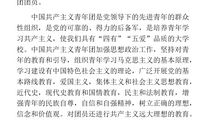 初中二年级入团申请书