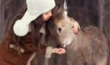 令我感动的小动物