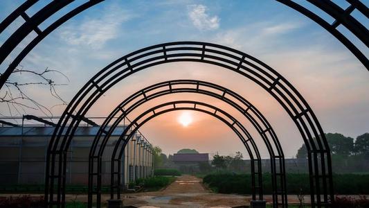 我喜欢你夏天