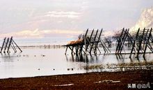 秋风渐起的时候