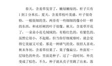 蒲公英作文400字四年级