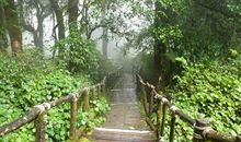 曲中漫步的习惯