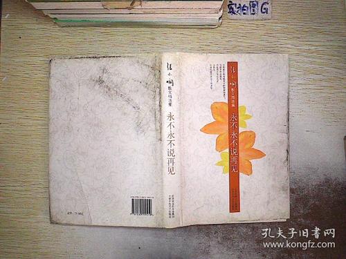 永不，永不说再见