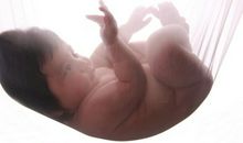 我真的很佩服妈妈