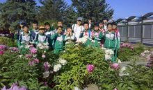 我们的六年时光