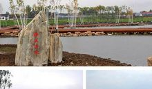 美丽的龙湖公园