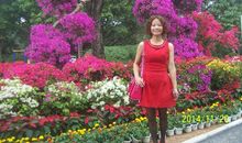 美丽的莲花山花展