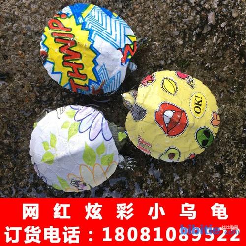 小乌龟快递