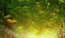 悄悄是离别的笙箫