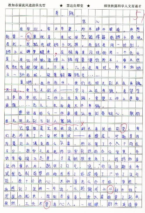 了解您的作文800字的作文