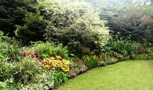 最爱那道风景线